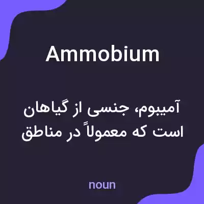 معنی ammobium به فارسی معنی ammobium به فارسی