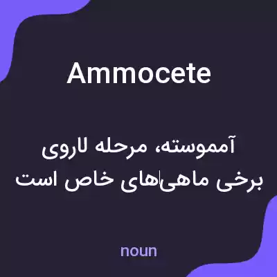 معنی ammocete به فارسی معنی ammocete به فارسی