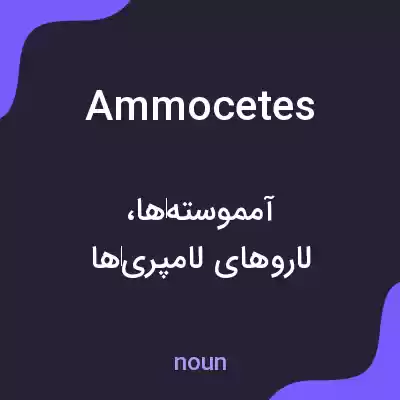معنی ammocetes به فارسی معنی ammocetes به فارسی