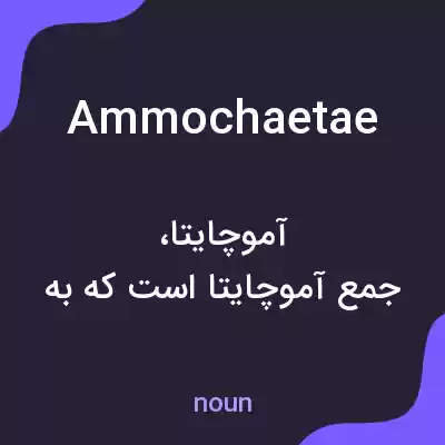 معنی ammochaetae به فارسی معنی ammochaetae به فارسی
