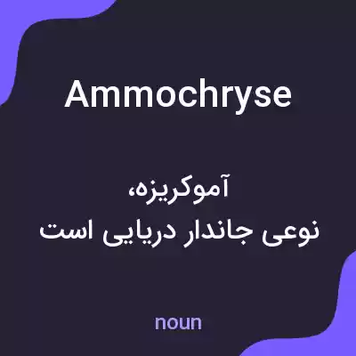 معنی ammochryse به فارسی معنی ammochryse به فارسی