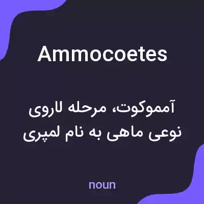 معنی ammocoetes به فارسی معنی ammocoetes به فارسی