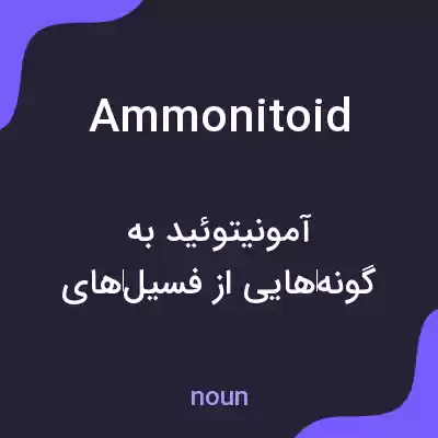 معنی ammonitoid به فارسی