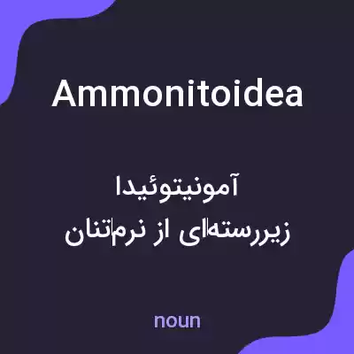 معنی ammonitoidea به فارسی معنی ammonitoidea به فارسی