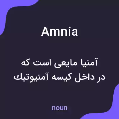 معنی amnia به فارسی معنی amnia به فارسی