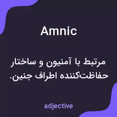 معنی amnic به فارسی معنی amnic به فارسی