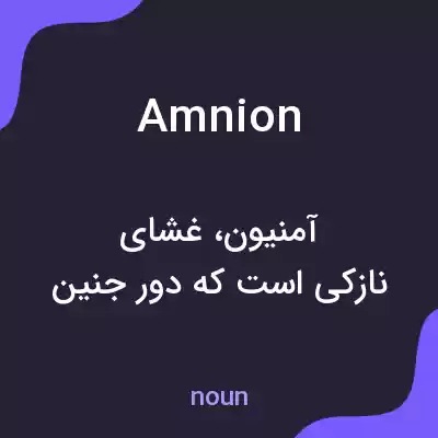معنی amnion به فارسی