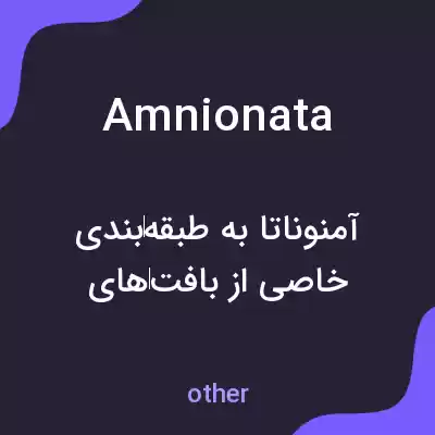 معنی amnionata به فارسی معنی amnionata به فارسی