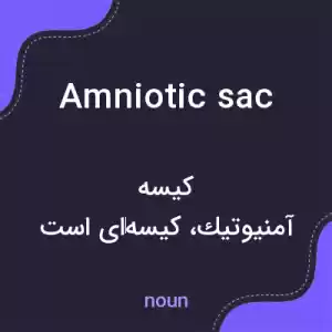 معنی amniotic sac به فارسی معنی amniotic sac به فارسی