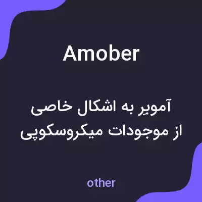 معنی amober به فارسی معنی amober به فارسی