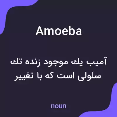 معنی amoeba به فارسی معنی amoeba به فارسی