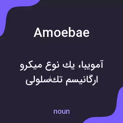معنی amoebae به فارسی معنی amoebae به فارسی