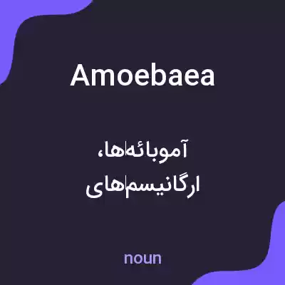 معنی amoebaea به فارسی معنی amoebaea به فارسی