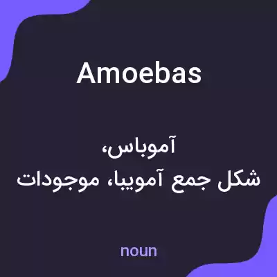 معنی amoebas به فارسی معنی amoebas به فارسی