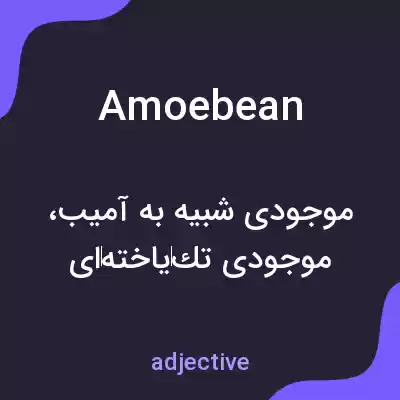 معنی amoebean به فارسی