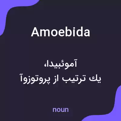 معنی amoebida به فارسی معنی amoebida به فارسی