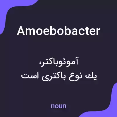 معنی amoebobacter به فارسی