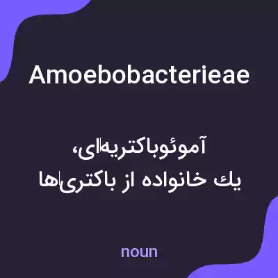 معنی amoebobacterieae به فارسی معنی amoebobacterieae به فارسی