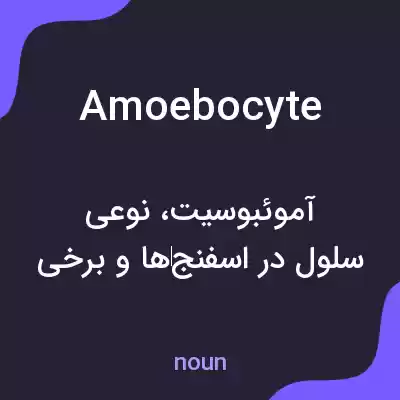 معنی amoebocyte به فارسی معنی amoebocyte به فارسی