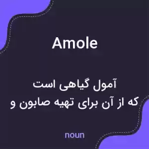 معنی amole به فارسی معنی amole به فارسی