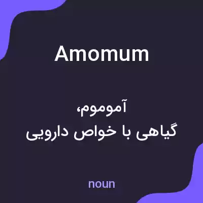 معنی amomum به فارسی معنی amomum به فارسی
