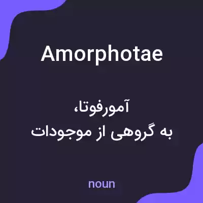 معنی amorphotae به فارسی معنی amorphotae به فارسی