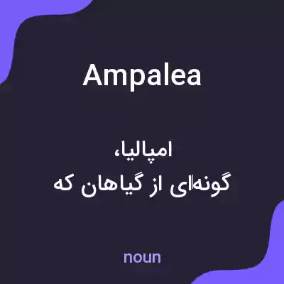 معنی ampalea به فارسی