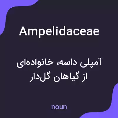 معنی ampelidaceae به فارسی معنی ampelidaceae به فارسی