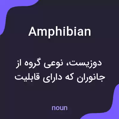 معنی amphibian به فارسی