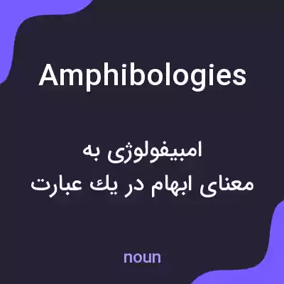 معنی amphibologies به فارسی
