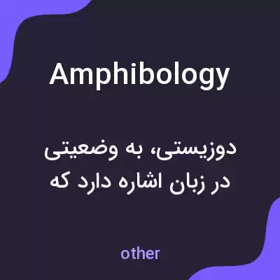 معنی amphibology به فارسی معنی amphibology به فارسی
