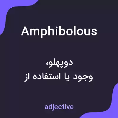 معنی amphibolous به فارسی معنی amphibolous به فارسی