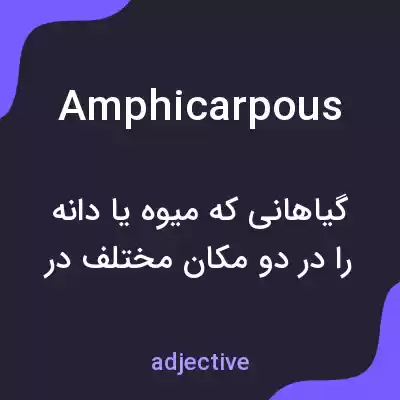 معنی amphicarpous به فارسی معنی amphicarpous به فارسی