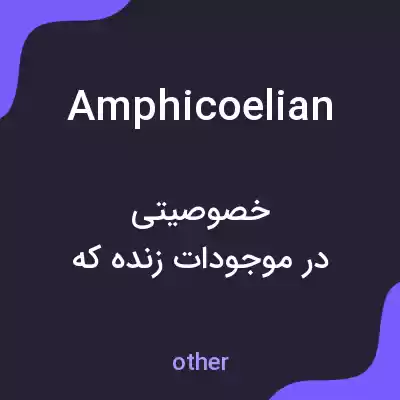معنی amphicoelian به فارسی معنی amphicoelian به فارسی
