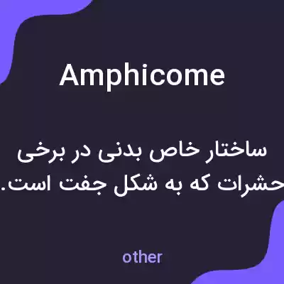 معنی amphicome به فارسی معنی amphicome به فارسی