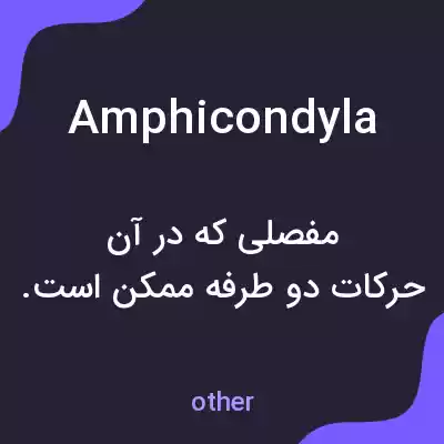 معنی amphicondyla به فارسی معنی amphicondyla به فارسی