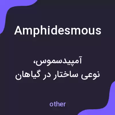 معنی amphidesmous به فارسی معنی amphidesmous به فارسی