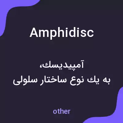 معنی amphidisc به فارسی معنی amphidisc به فارسی