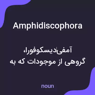 معنی amphidiscophora به فارسی معنی amphidiscophora به فارسی