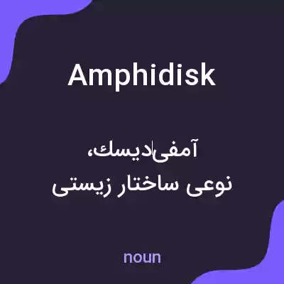 معنی amphidisk به فارسی معنی amphidisk به فارسی
