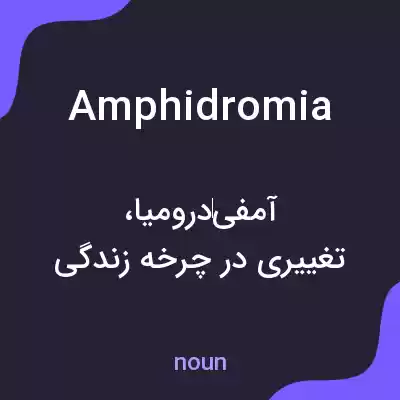 معنی amphidromia به فارسی معنی amphidromia به فارسی