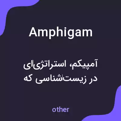 معنی amphigam به فارسی معنی amphigam به فارسی