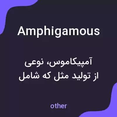 معنی amphigamous به فارسی معنی amphigamous به فارسی