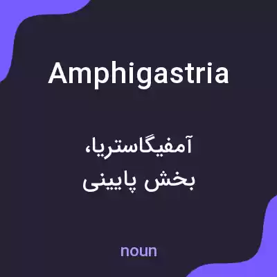 معنی amphigastria به فارسی معنی amphigastria به فارسی