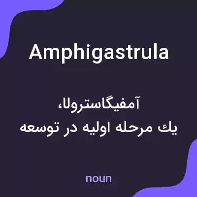 معنی amphigastrula به فارسی معنی amphigastrula به فارسی