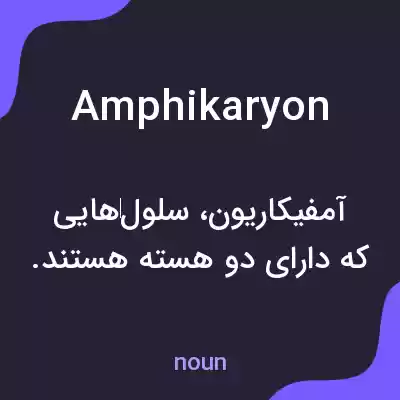 معنی amphikaryon به فارسی معنی amphikaryon به فارسی