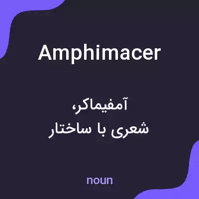 معنی amphimacer به فارسی