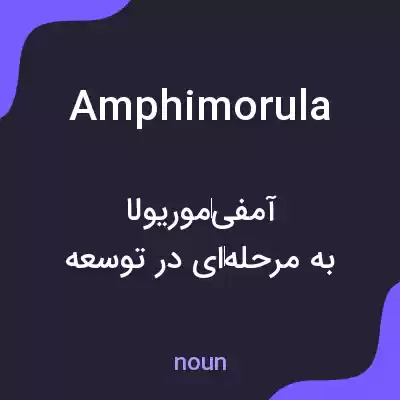 معنی amphimorula به فارسی معنی amphimorula به فارسی