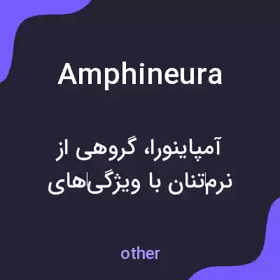 معنی amphineura به فارسی معنی amphineura به فارسی