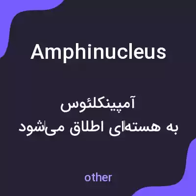 معنی amphinucleus به فارسی معنی amphinucleus به فارسی